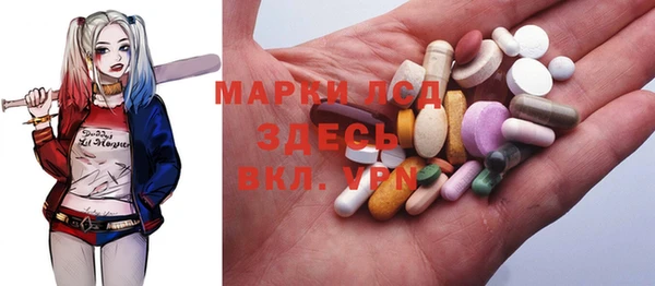 стаф Кулебаки