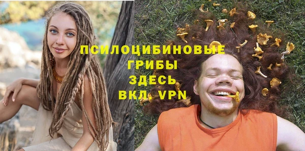 стаф Кулебаки