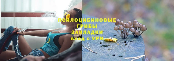 ALPHA PVP Куйбышев