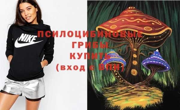 ALPHA PVP Куйбышев