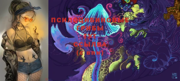 стаф Кулебаки