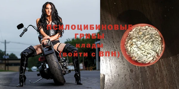 ALPHA PVP Куйбышев