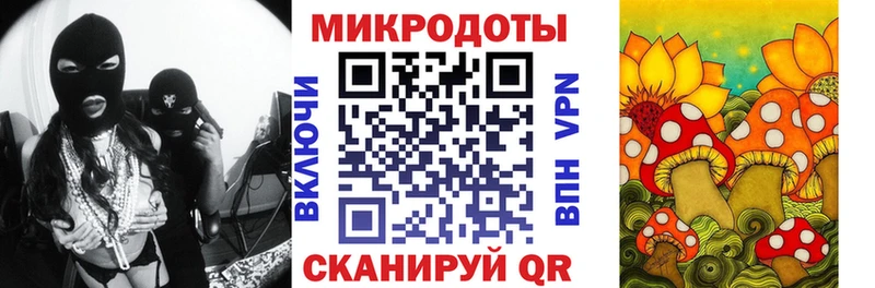 Псилоцибиновые грибы прущие грибы  Купить где  Алзамай 