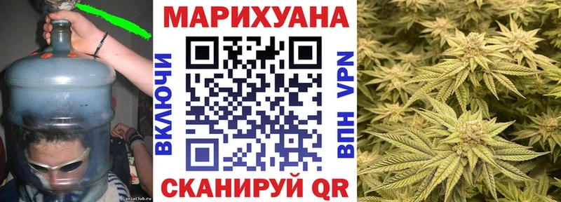 Купить где  Алзамай  Каннабис Amnesia 